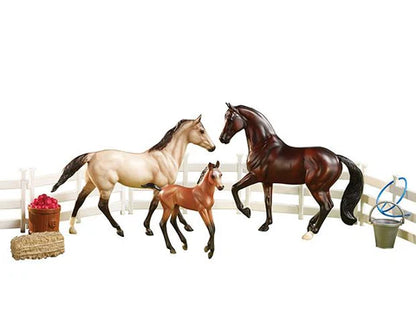 Sport Horse Family