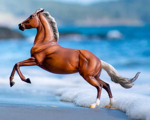 Stingray (Discontinued)