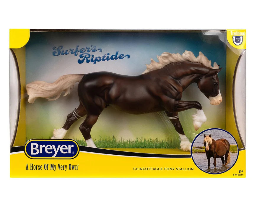 Surfer's Riptide  Chincoteague Pony