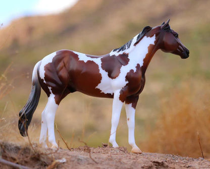 Ideal Series - American Paint Horse (Discontinued)